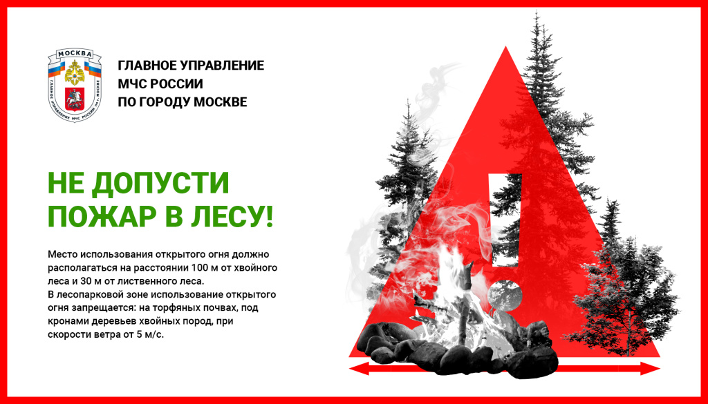 2_лес_1952х1115.jpg