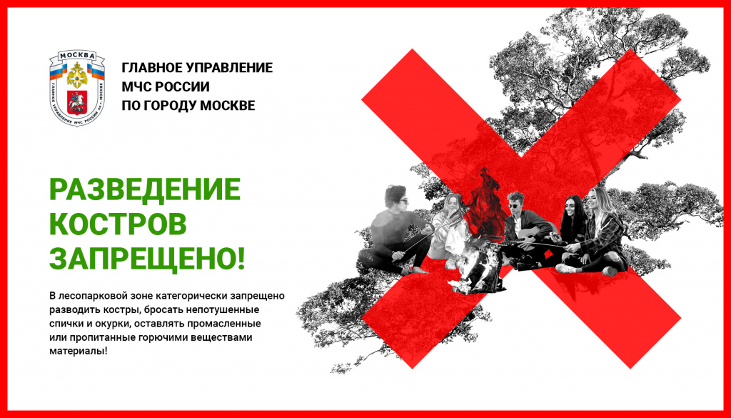 1_лес_1952х1115.jpg