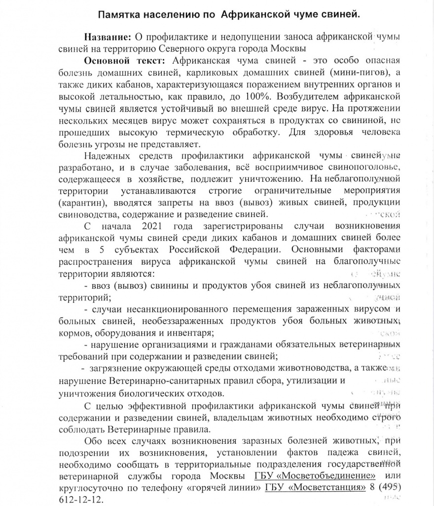 чума.jpg